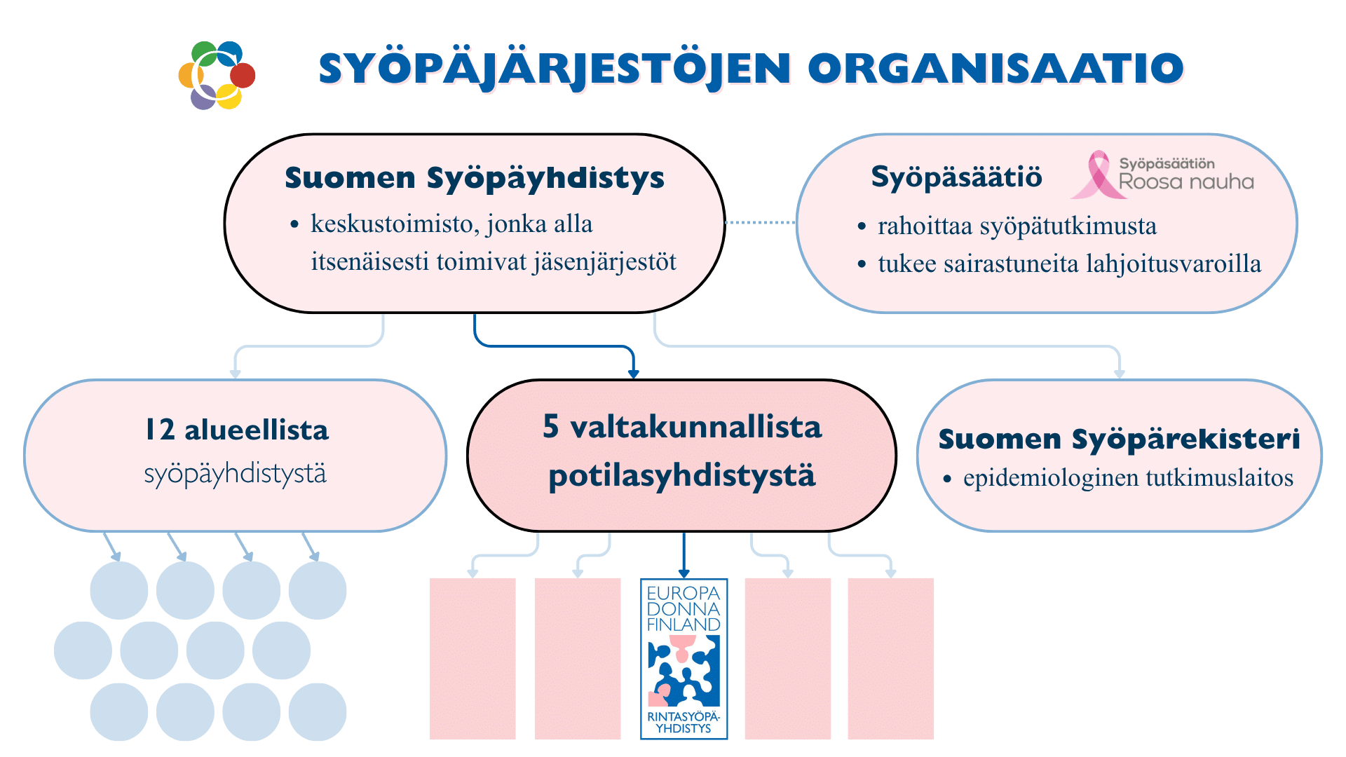 Kaavio kuva Suomen Syöpäyhdistyksen organisaatiosta, johon kuuluvat Syöpäsäätiö, Suomen Syöpärekisteri ja Syöpäjärjestöt, jonka keskustoimiston alle kuuluu 16 alueellista syöpäyhdistystä ja 5 valtakunnallista potilasjärjestöä, joista yksi on Rintasyöpäyhdistys - Europa Donna Finland ry.